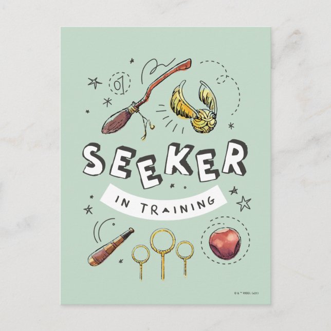 HARRY POTTER™ | Seeker in Training Postcard (Front)
