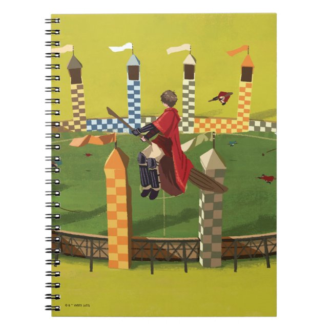 HARRY POTTER™ Seeking the Golden Snitch Notebook (Front)