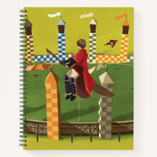 HARRY POTTER™ Seeking the Golden Snitch Notebook