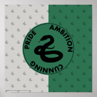 Harry Potter | SLYTHERIN™ House Traits Graphic