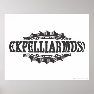 Harry Potter Spell   Expelliarmus! Poster