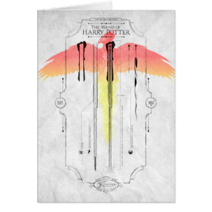 Harry Potter Spell   Harry's Wand Infographic