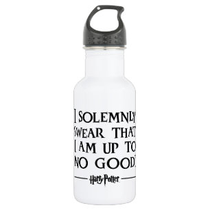 Harry Potter Spell   I Solemnly Swear 532 Ml Water Bottle