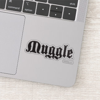 Harry Potter Spell | Muggle