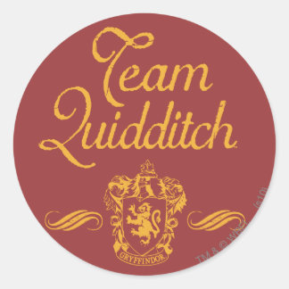 Harry Potter | Team QUIDDITCH™ Classic Round Sticker