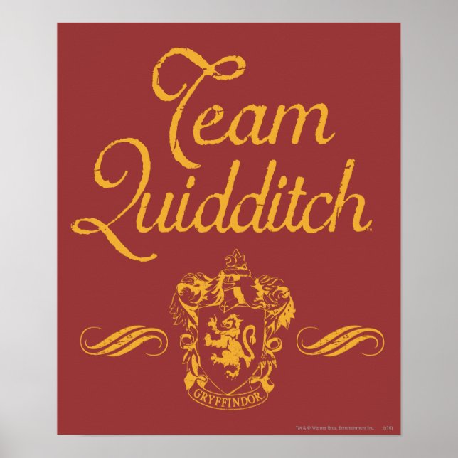 Harry Potter | Team QUIDDITCH™ Poster (Front)