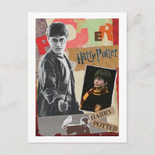 Harry Potter Then and Now Postcard