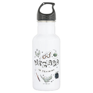 HARRY POTTER™ | Wizard in Training 532 Ml Water Bottle