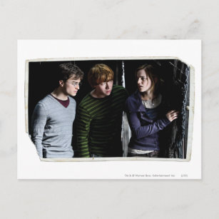 Harry, Ron, and Hermione 4 Postcard