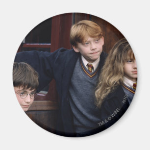 Harry, Ron, and Hermione Magnet