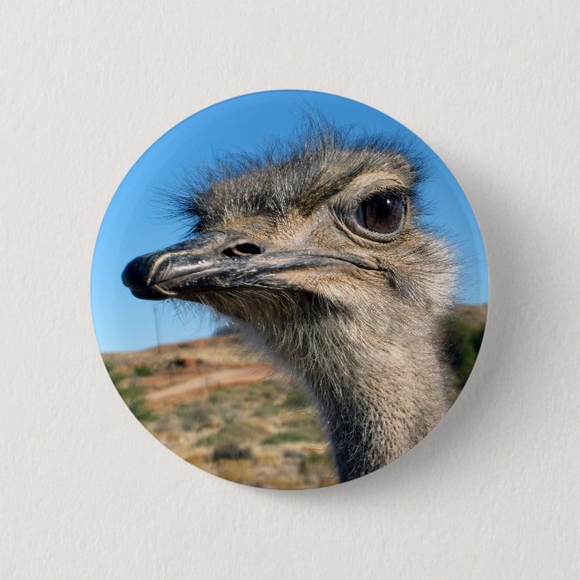 Harry the Happy Ostrich 2 Inch Round Button (Front)