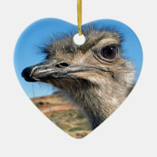 Harry the Happy Ostrich Ceramic Ornament