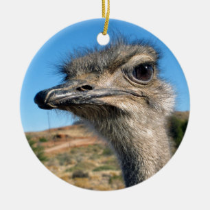 Harry the Happy Ostrich Ceramic Ornament