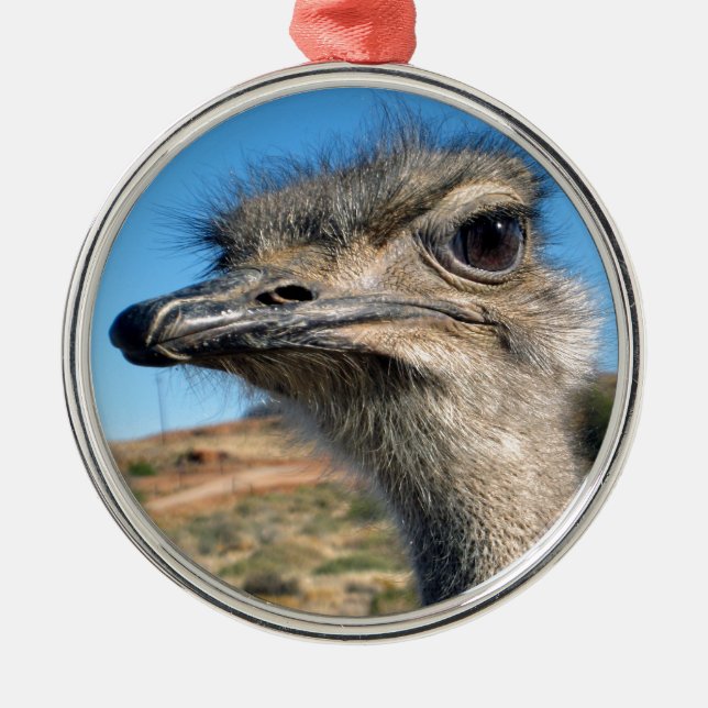Harry the Happy Ostrich Metal Ornament (Front)