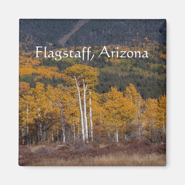 Hart  Prairie Flagstaff, Arizona Magnet (Front)
