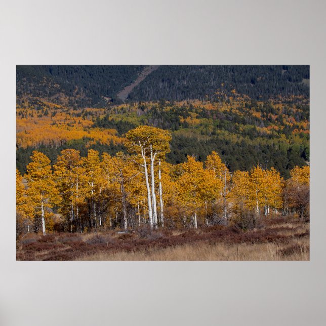 Hart Prairie Poster (Front)