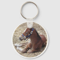 hartlandfoal