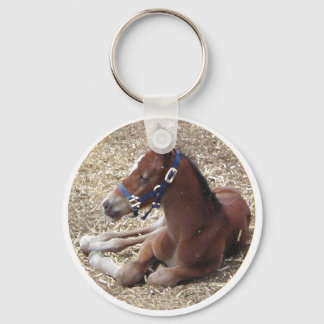 hartlandfoal keychain