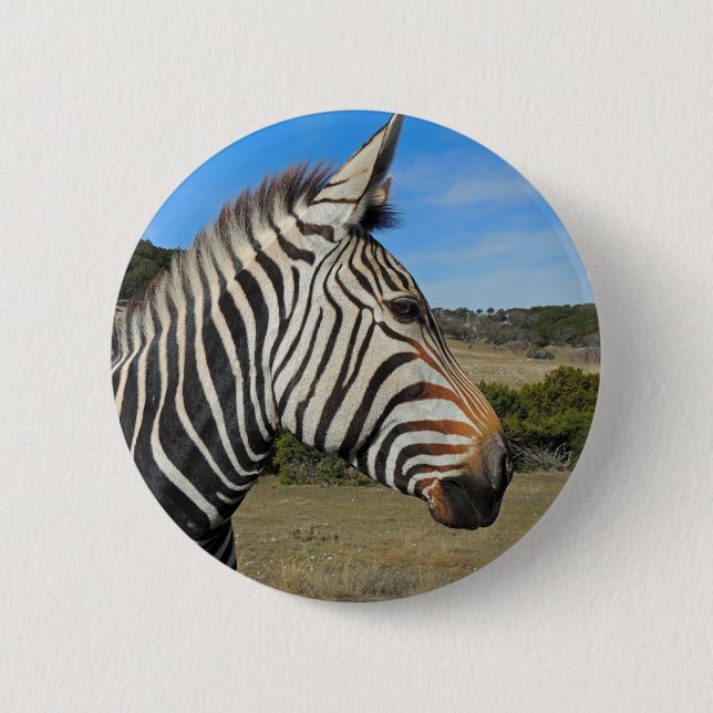 Hartmann's Zebra Profile at Fossil Rim 2 Inch Round Button (Front)