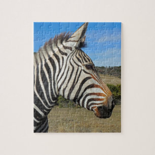 Hartmann's Zebra Profile at Fossil Rim Jigsaw Puzzle