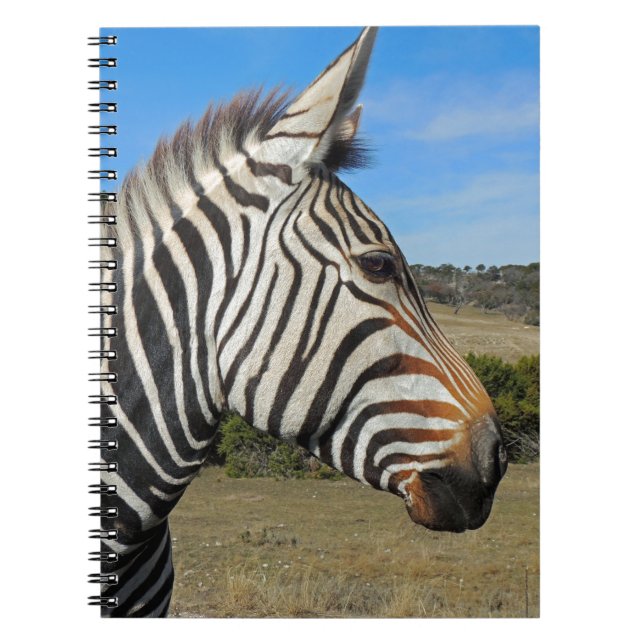 Hartmann's Zebra Profile at Fossil Rim Notebook (Front)