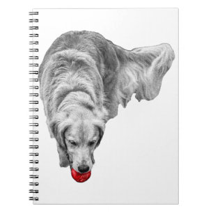 Harvest Ember Reflections Notebook