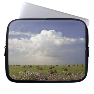 Harvest fields with cosmos flowers in laptop sleeve