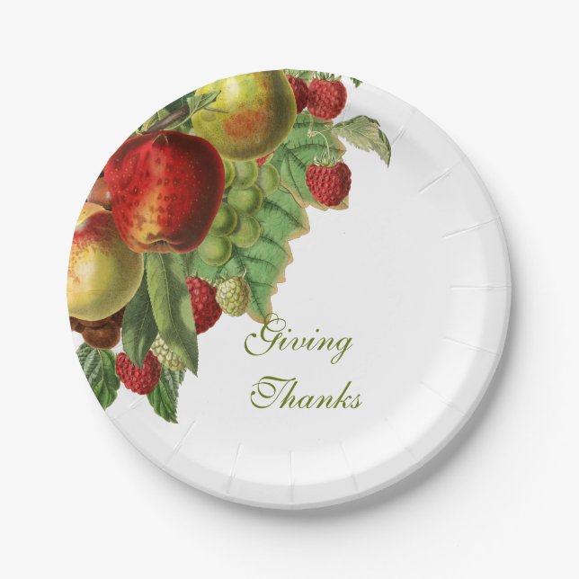 Harvest Fruit Paper Plate (Front)