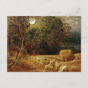 Harvest Moon Postcard