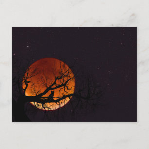 Harvest Moon with Tree and Cat Silhouette Postcard
