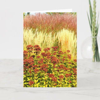 Harvest Note Card Collection
