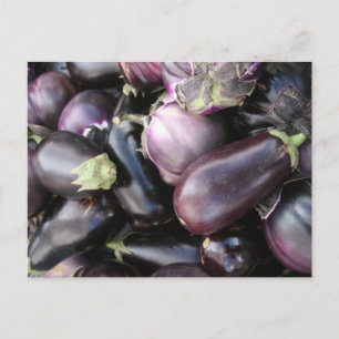 Harvest of Purple Eggplants at Market Postcard