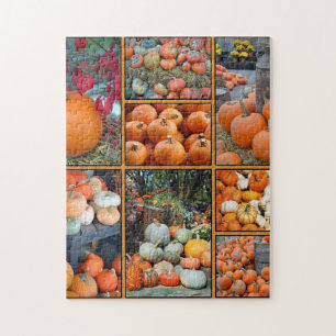 Harvest pumkins jigsaw puzzle