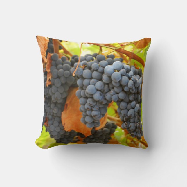 Harvest Throw Pillow (Front)