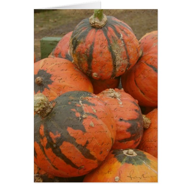 Harvest Time (Front)