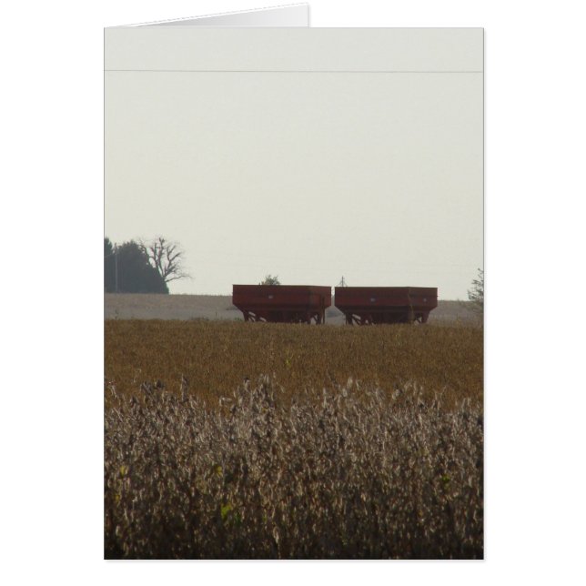 Harvest Time (Front)