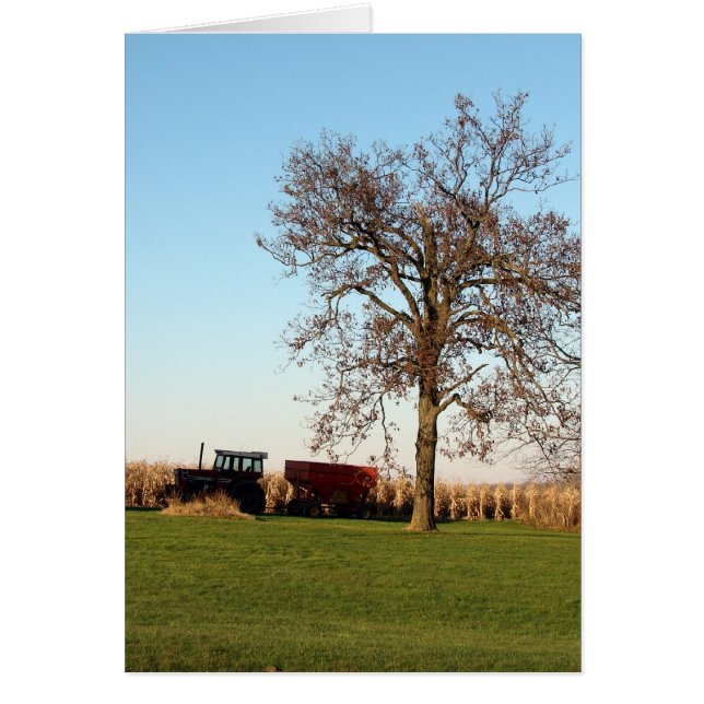 Harvest Time 2 (Front)