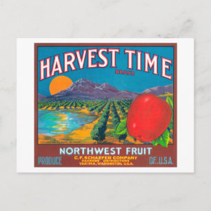 Harvest Time Apple Label - Yakima, WA Postcard