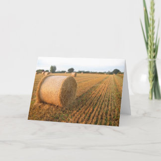 Harvest Time - Blank Greetings Card