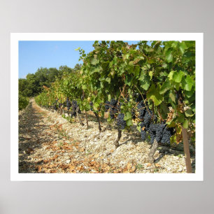 Harvest Time Poster