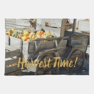 Harvest Time Pumpkin/Gourd Display on a Kitchen Towel