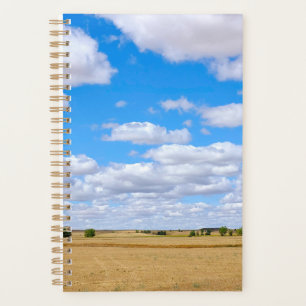Harvested wheat fields planner