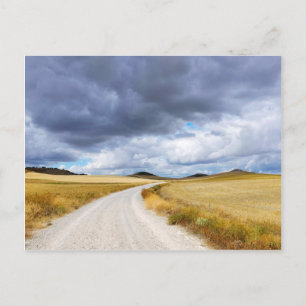 Harvested wheat fields postcard