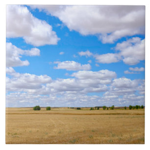 Harvested wheat fields tile