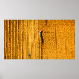 Harvester machine working in field. Combine harves Poster