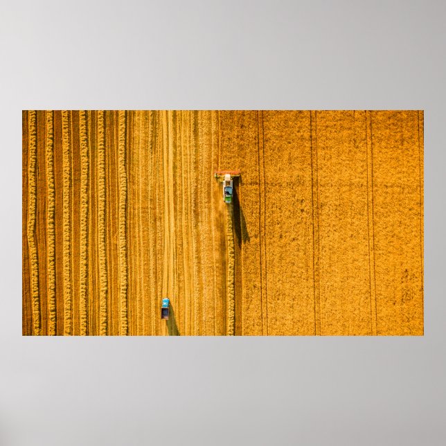 Harvester machine working in field. Combine harves Poster (Front)