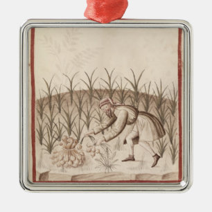 Harvesting Garlic Metal Ornament