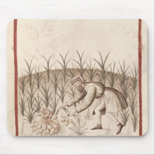 Harvesting Garlic Mouse Pad