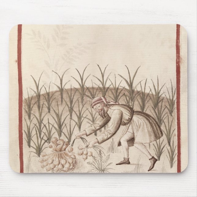 Harvesting Garlic Mouse Pad (Front)