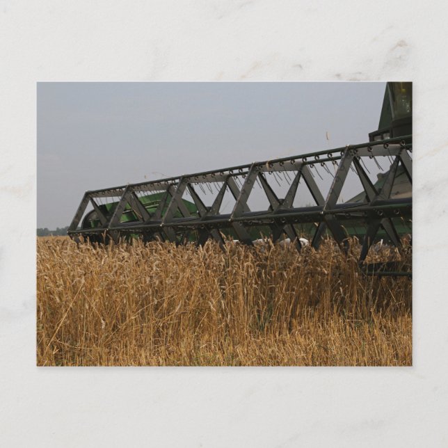 Harvesting Postcard (Front)